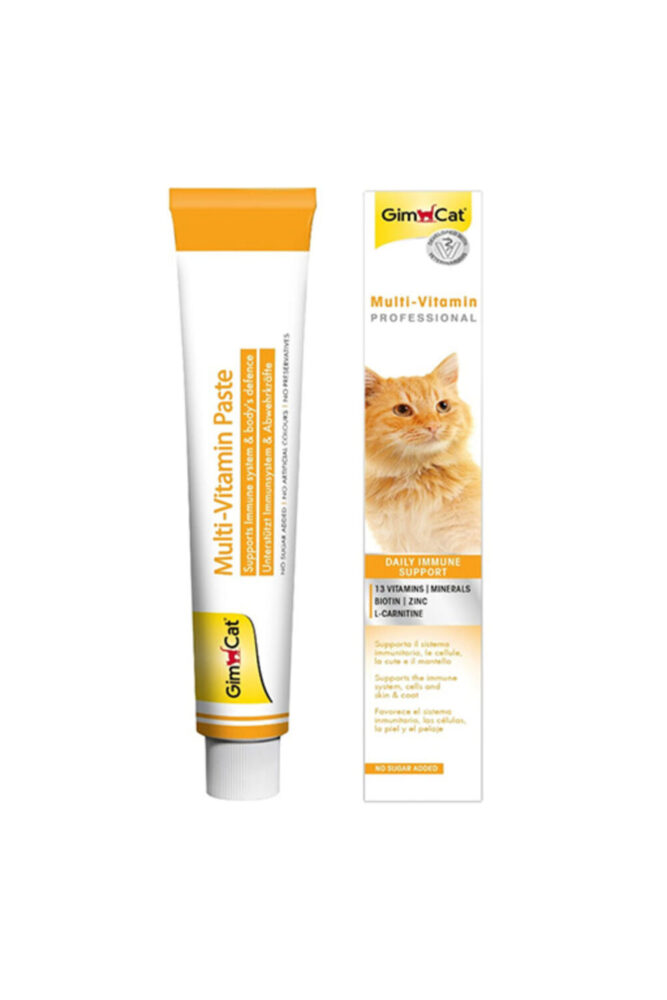 Gimcat Multi Vitamin Kedi Macunu 100 Gr
