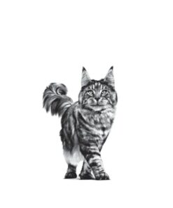 Alternative view of Royal Canin Urinary S/O Üriner Kedi Kuru Maması 3,5 KG (SKT:04/07/2027)