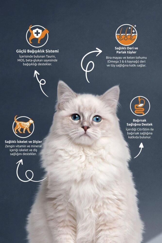Reflex Multi Colour Kedi Maması 2 Kg - Görsel 2