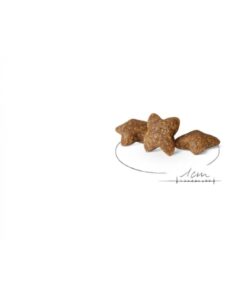 Royal Canin Mini Adult Küçük Irklar Için Yetişkin Kuru Köpek Maması 4kg - Görsel 3