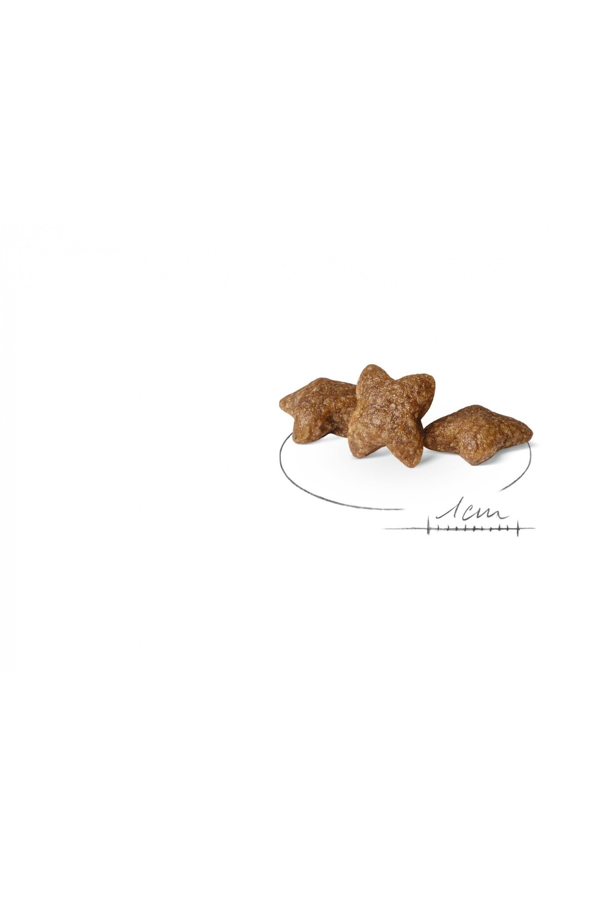 Royal Canin Mini Adult Küçük Irklar Için Yetişkin Kuru Köpek Maması 4kg - Görsel 3