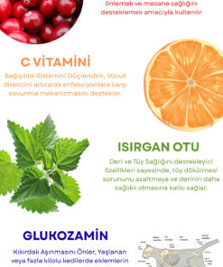 Pavika Tüy Dökülmesi Engelleyici, Tüy Yumağı Ve Kusma Önleyici Multivitamin Kısır Kedi Maltı 100 gr - Görsel 3