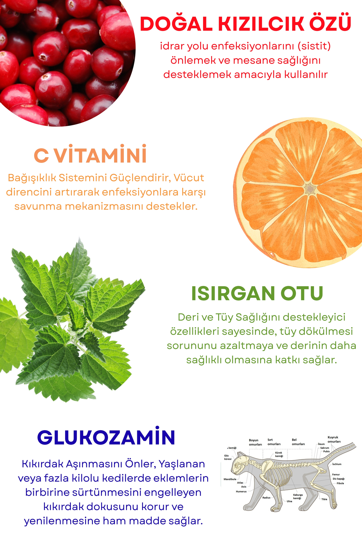 Pavika Tüy Dökülmesi Engelleyici, Tüy Yumağı Ve Kusma Önleyici Multivitamin Kısır Kedi Maltı 100 gr - Görsel 3