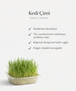 Alternative view of PAPYONPETSHOP Doğal Fileli Kedi Çimi Seti ve Avokado Catnip Kedi Nanesi Oyuncağı Kedi Otu 2si 1 Arada Set