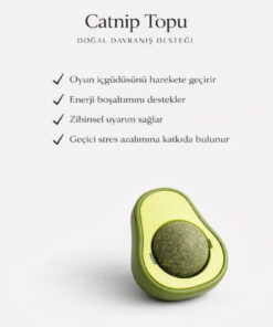 PAPYONPETSHOP Doğal Fileli Kedi Çimi Seti ve Avokado Catnip Kedi Nanesi Oyuncağı Kedi Otu 2si 1 Arada Set - Görsel 3
