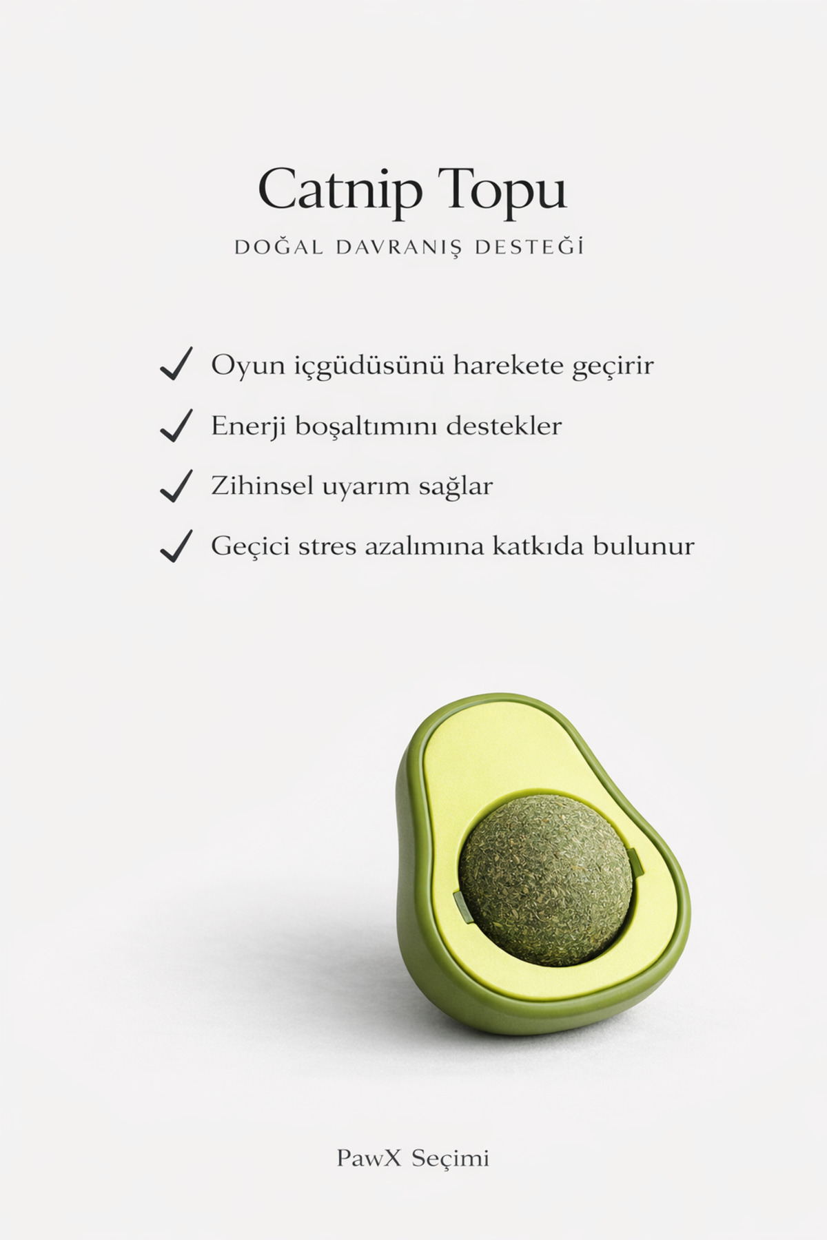 PAPYONPETSHOP Doğal Fileli Kedi Çimi Seti ve Avokado Catnip Kedi Nanesi Oyuncağı Kedi Otu 2si 1 Arada Set - Görsel 3