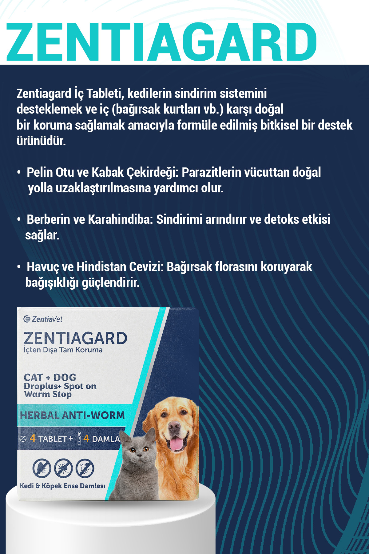 zentiavet 2 li Set Kedi Damlası Kedi İç Dış Anti Parazit Bitkisel Damla Köpek Parazit Bit Pire Kene Deri Bakımı Seti - Görsel 3