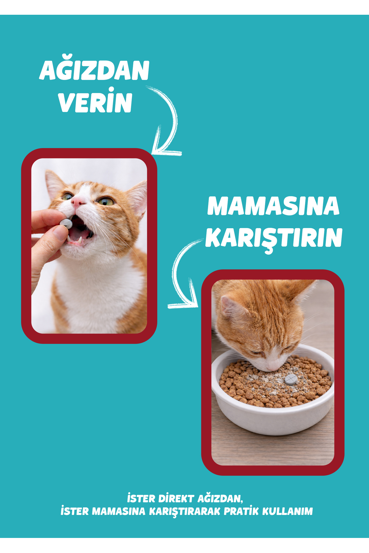Solomon Kedi Köpek İçin Bitkisel ve Lezzetli Anti Tablet 2 Adet 4 Tablet - Görsel 3