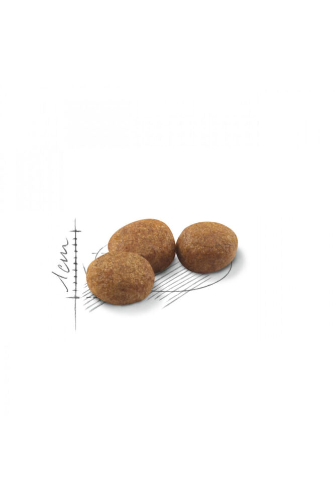 Royal Canin Sterilised37 Kısırlaştırılmış Kediler için Kuru Kedi Maması 15 Kg - Görsel 2