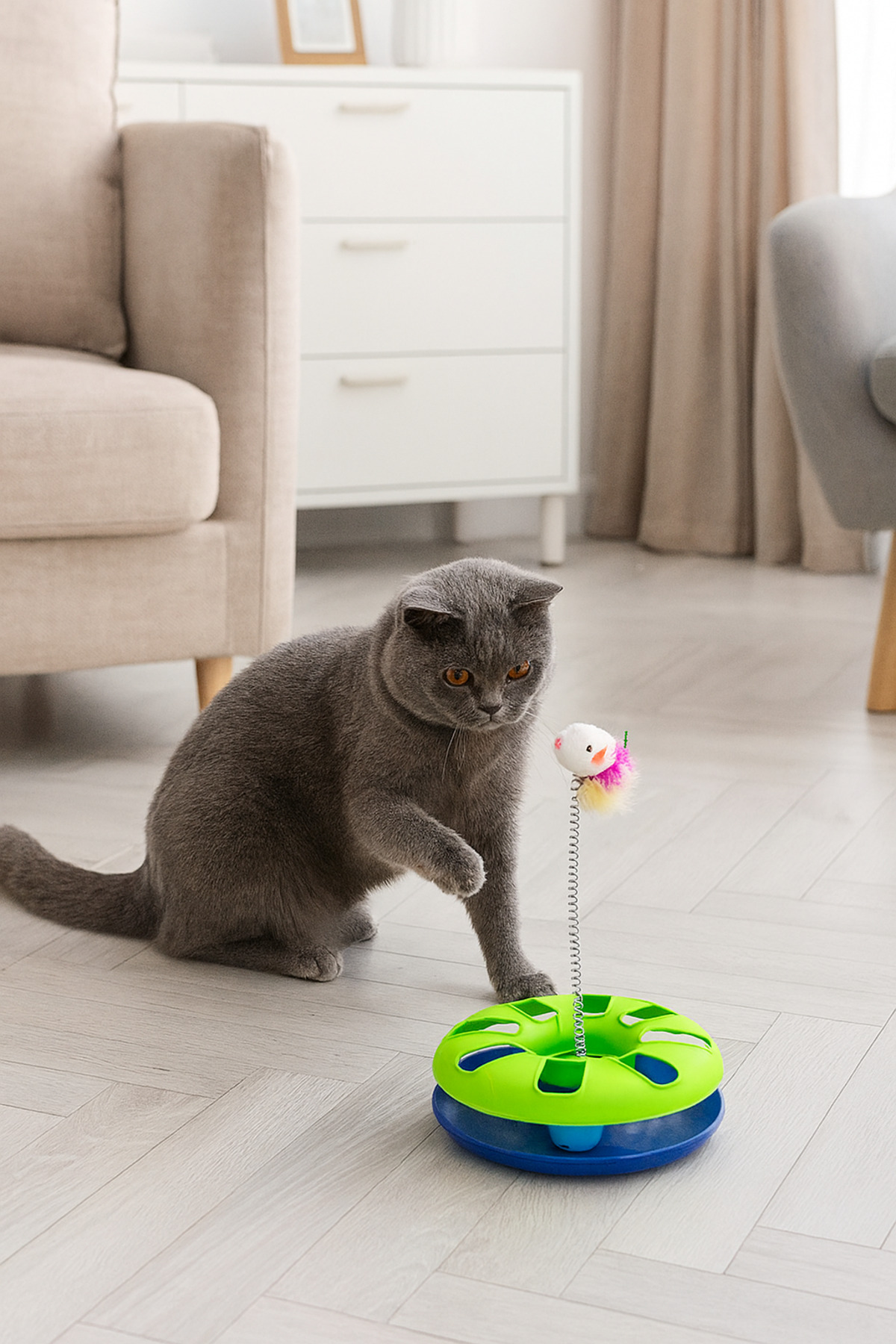 ego home Çıngarak Toplu Yaylı Fareli Kedi Çember Oyuncağı Kedi Eğlence Aksesuarı Kedi Oyun Çemberi - Görsel 3