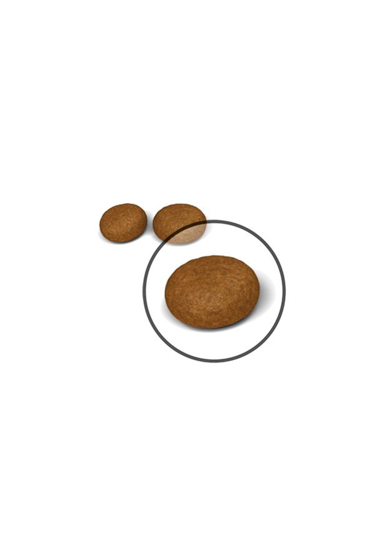 Royal Canin Hair&skin Tüy Ve Deri Sağlığı Için Kuru Kedi Maması 4kg - Görsel 3