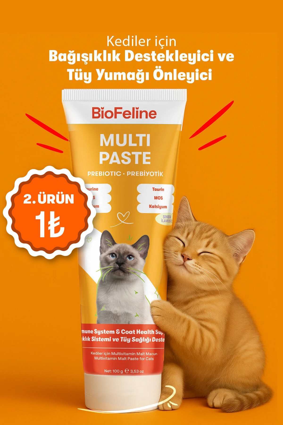 BioFeline Tüy Yumağı ve Bağışıklık Zayıflığı Azaltıcı Kediler İçin Multivitamin Macunu 100 g