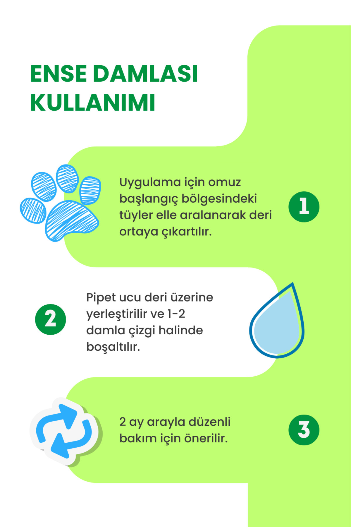 patiografya Kedi Köpek Dış Parazit - Görsel 3