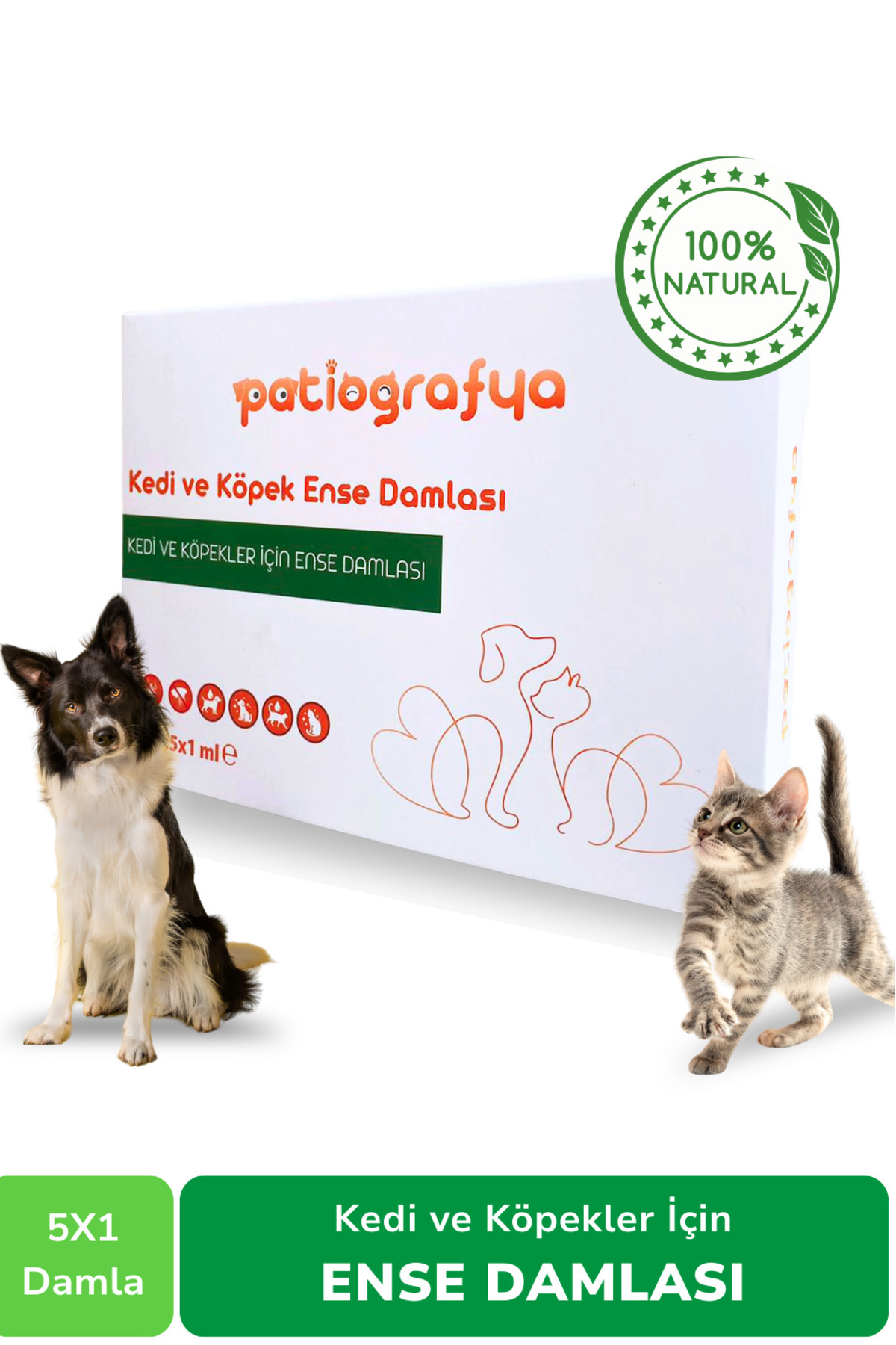 patiografya Kedi Köpek Dış Parazit