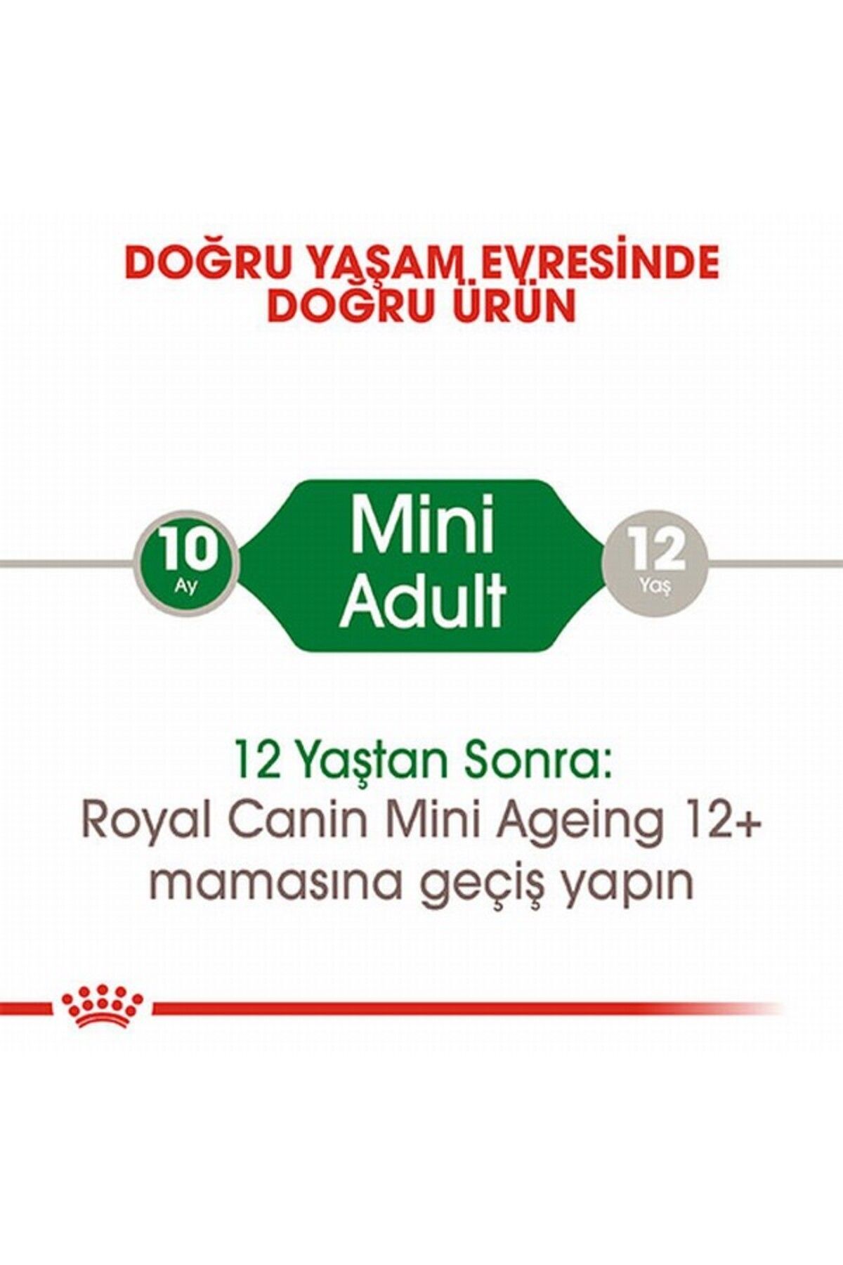 Royal Canin Küçük Irklar için Yetişkin Yaş Köpek Maması 12 x 85g - Görsel 3