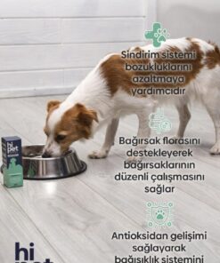 Alternative view of HiPet Sıvı Probiyotik Köpek Bağışıklık Güçlendirici Probiyotik 50 ml