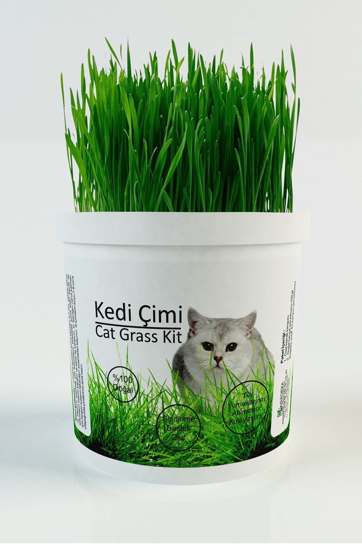 AGROERA 0 Doğal Kedi Çimi (tüy Yumağı Önleyici)