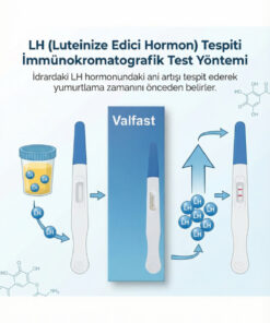 Valfast Ovulasyon Doğurganlık (Yumurtlama) Testi 2 Kutu 10 Adet Kalem Test - Görsel 3