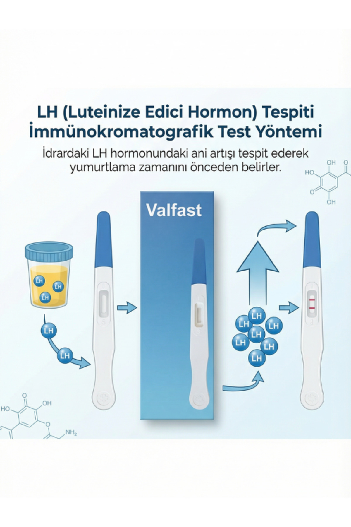 Valfast Ovulasyon Doğurganlık (Yumurtlama) Testi 2 Kutu 10 Adet Kalem Test - Görsel 3