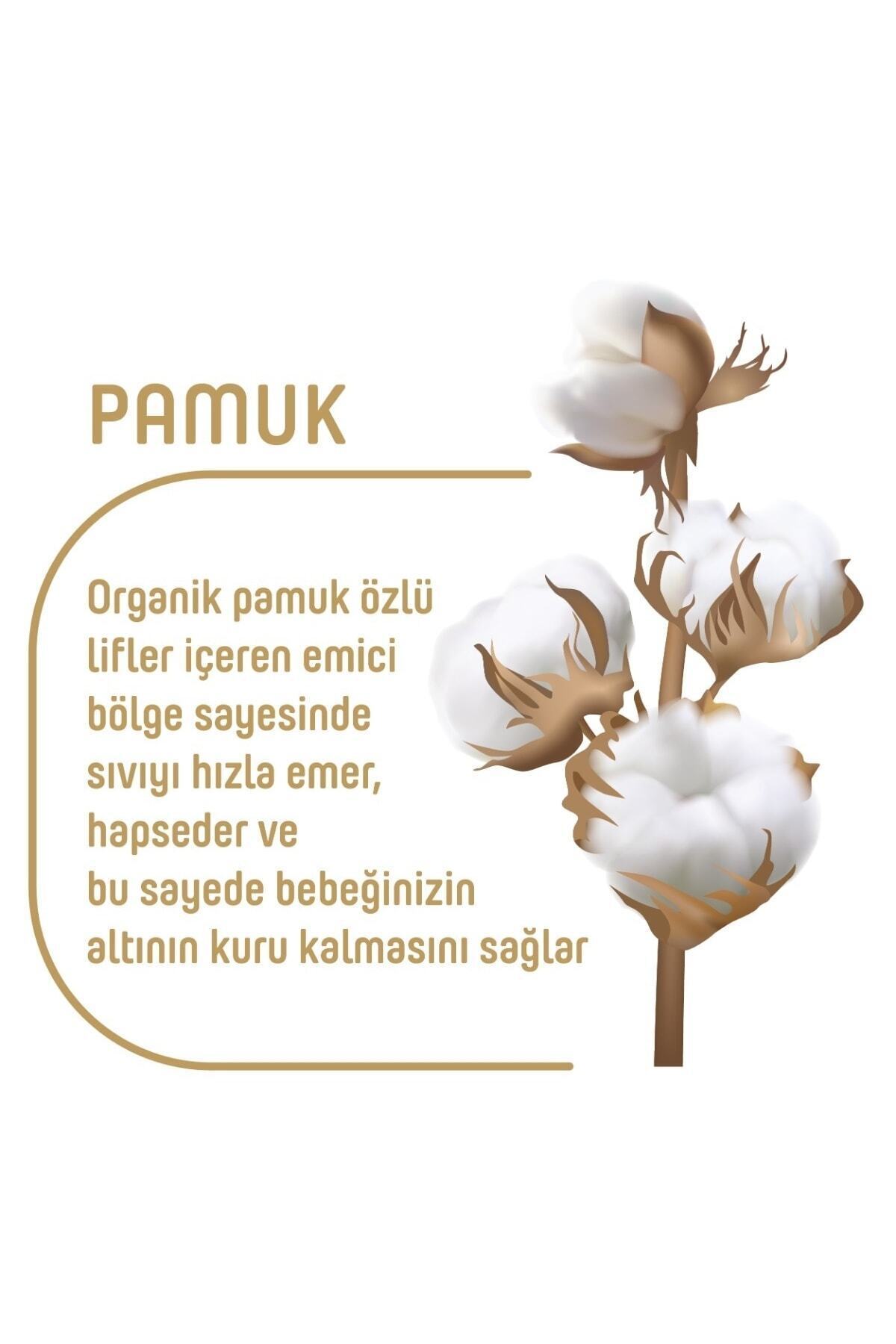 Pure Baby Organik Pamuklu Islak Havlu 24×90 (2160 Yaprak) - Görsel 3