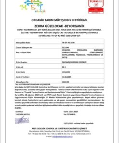 BEYORGANİK Organik Meyveli Muhallebi Karışımı 200gr (ÜÇ MEYVELİ) - Görsel 3