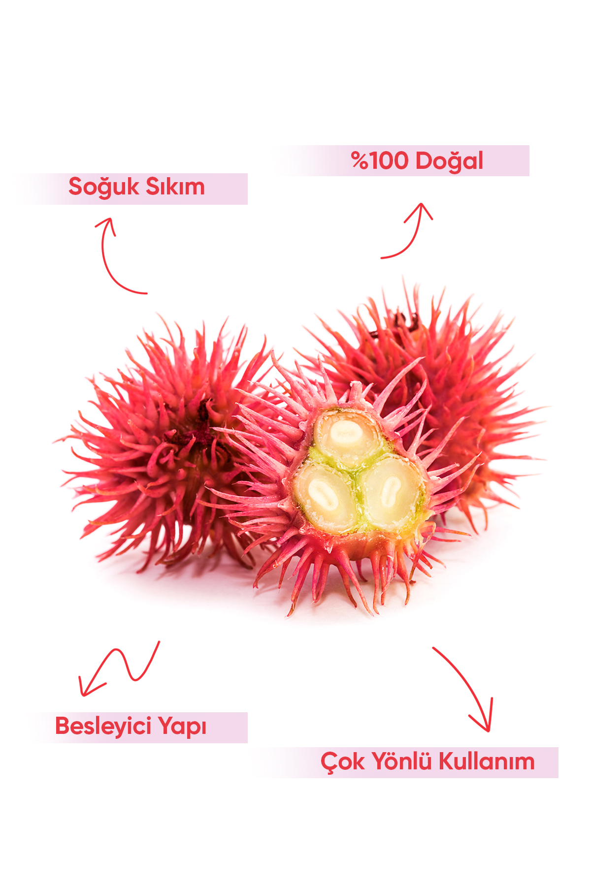 Arifoğlu Hint Yağı Soğuk Sıkım 50ml 0 Saf ve Doğal Castor Oil Ricinus communis L. - Görsel 3