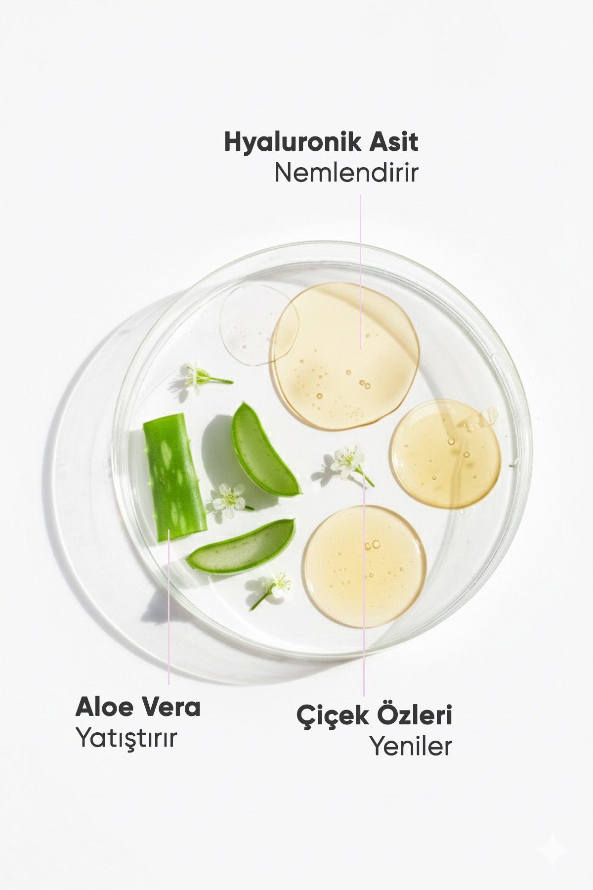 WIWIFY Arındırıcı, Tazeleyici Yüz Temizleme Jeli (Aloe Vera Ve Papatya Özlü + Hyaluronic Acid) - Görsel 3