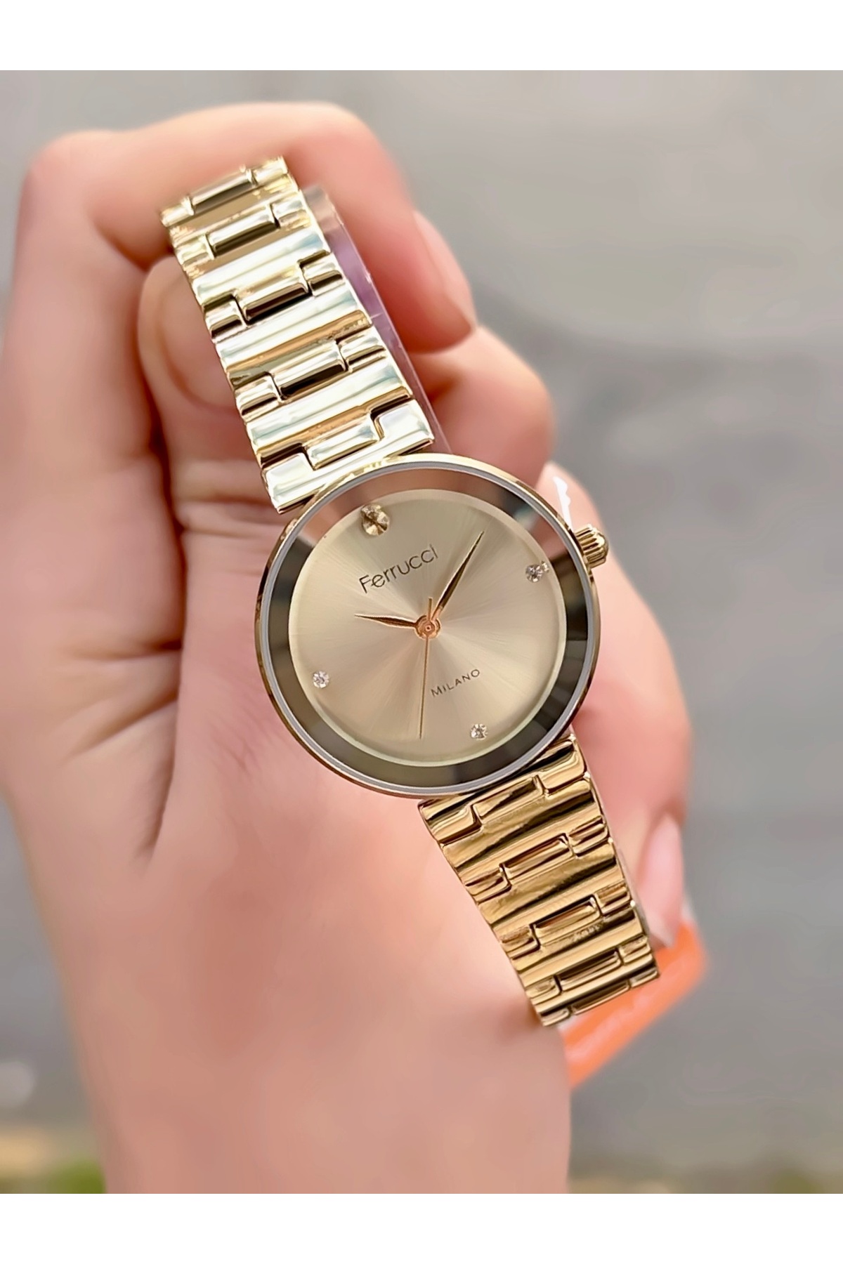 Ferrucci Kadın Kol Saati Yeni Model minimal kasa retro Çelik Kordon Su Geçirmez 2 yıl Garantili Saat