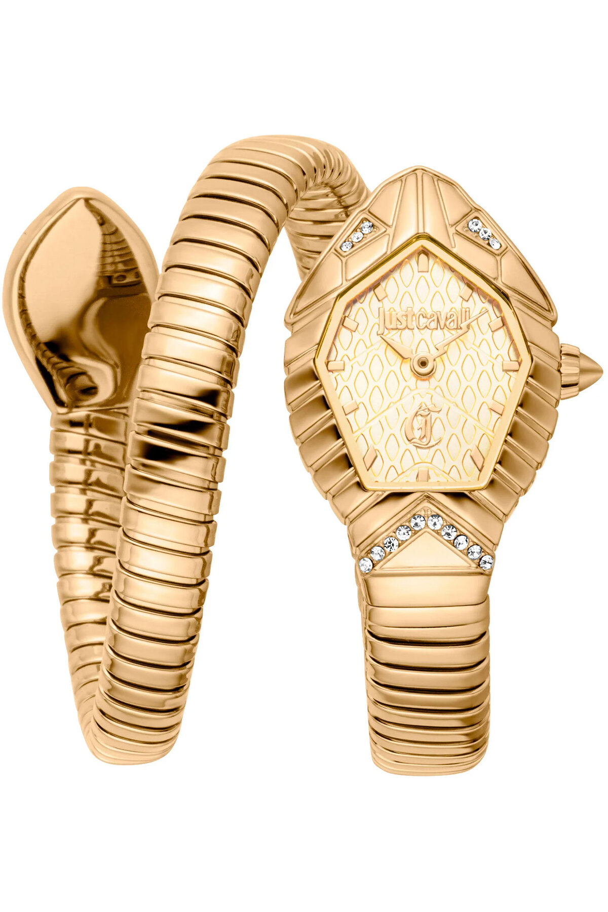 Just Cavalli JC1L356M0025 Kadın Kol Saati