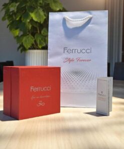 Ferrucci Vintage Çelik Kordon 2 Yıl Garantili Yeni Sezon 30 Mt Suya Dayanıklı Kadın Kol Saati B - Görsel 3
