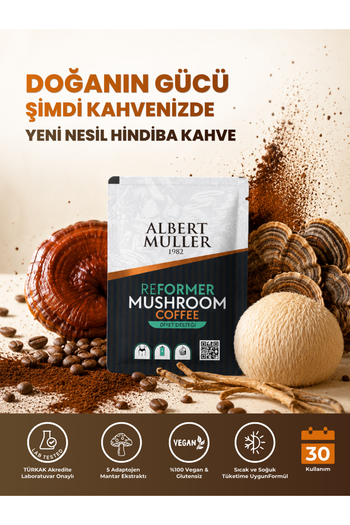 ALBERT MULLER Reformer Hindiba Kahvesi | Reishi ve 4 Mantarlı | Prebiyotik Lif | Analiz Raporlu | Yeni Nesil Kahve