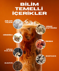 ALBERT MULLER Reformer Hindiba Kahvesi | Reishi ve 4 Mantarlı | Prebiyotik Lif | Analiz Raporlu | Yeni Nesil Kahve - Görsel 3