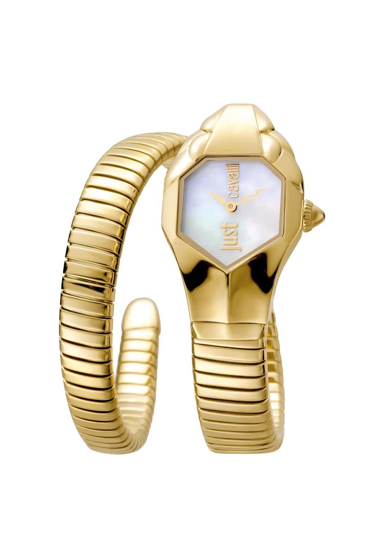 Just Cavalli JC1L001M0025 Kadın Kol Saati