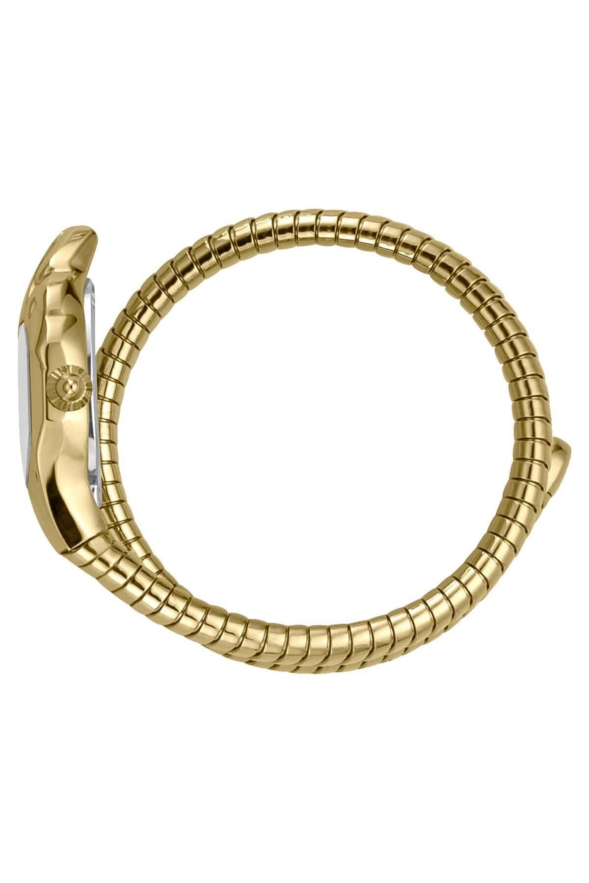 Just Cavalli JC1L001M0025 Kadın Kol Saati - Görsel 3