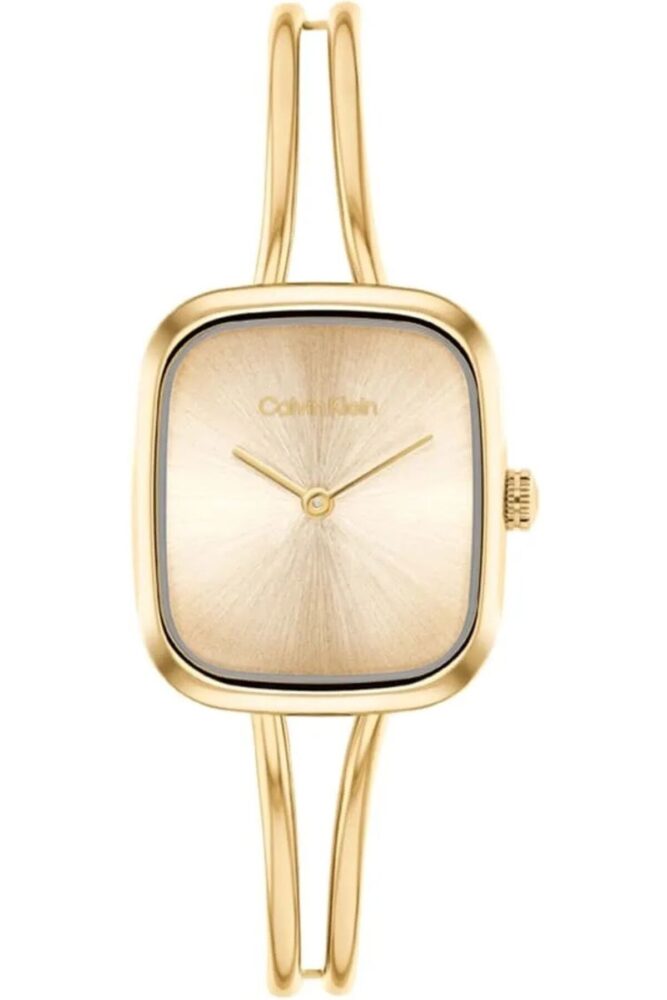 Calvin Klein Ck25100132 Kadın Kol Saati