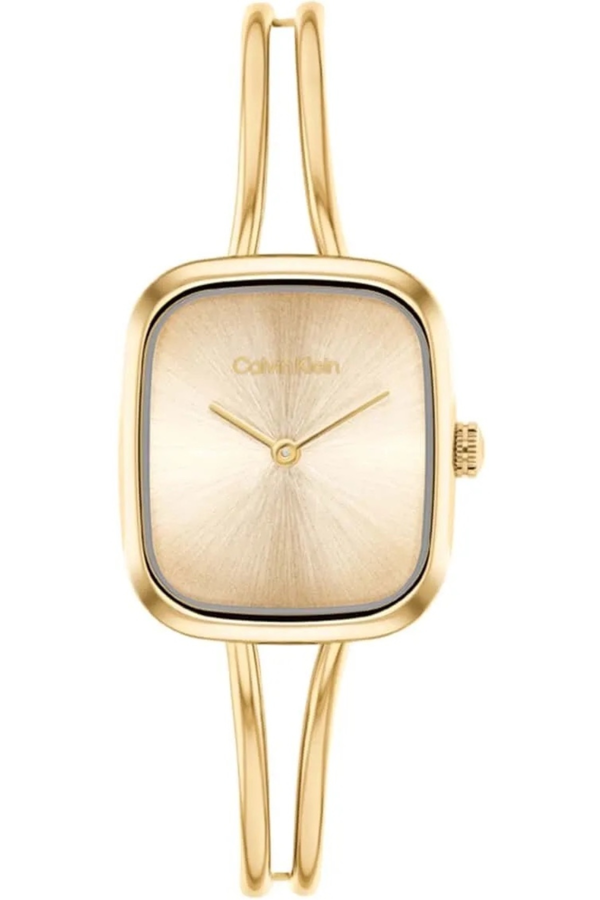 Calvin Klein Ck25100132 Kadın Kol Saati
