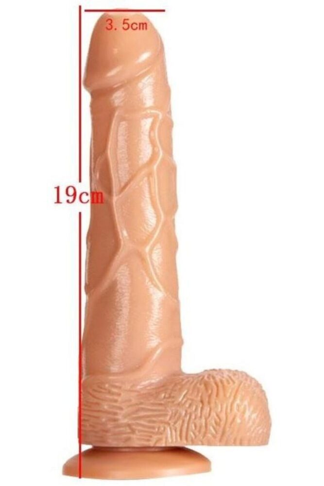 Lolita Shop Belden Bağlamalı Gerçekçi Yumuşak Dokuda Deri Kemerli Penis 19.5 Cm Takma Vantuzlu Realistik Dildo - Görsel 3