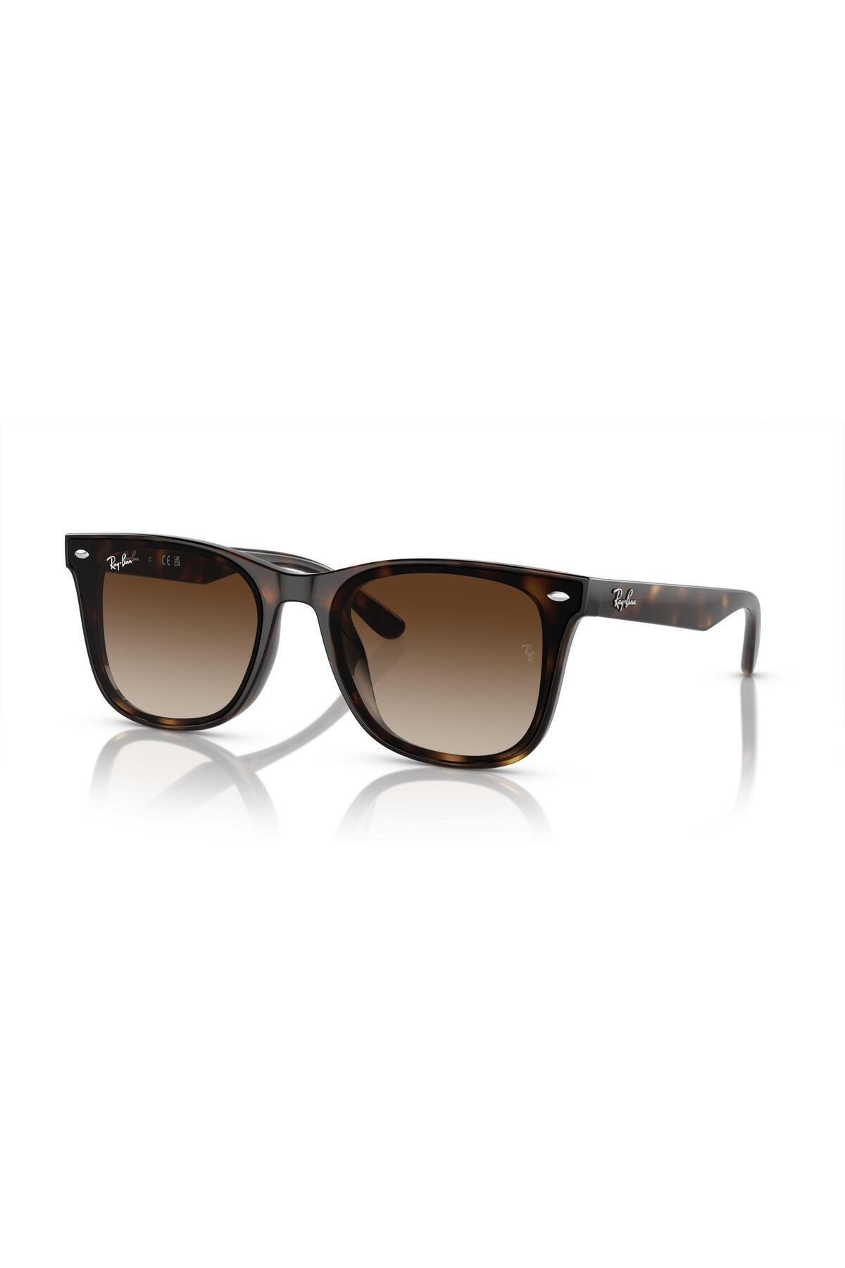 Ray-Ban 0RB4420 710-13 65