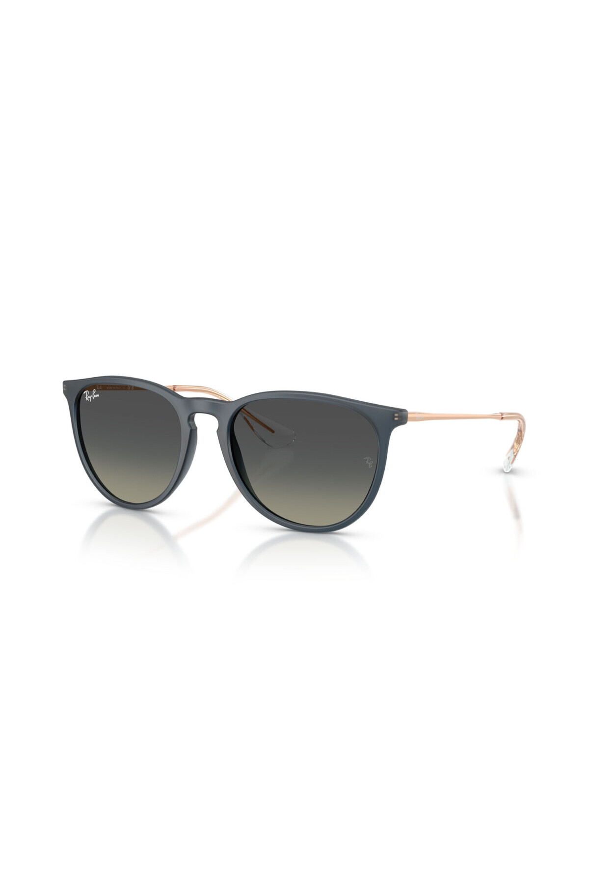 Ray-Ban Güneş Gözlüğü RB4171 54 681311