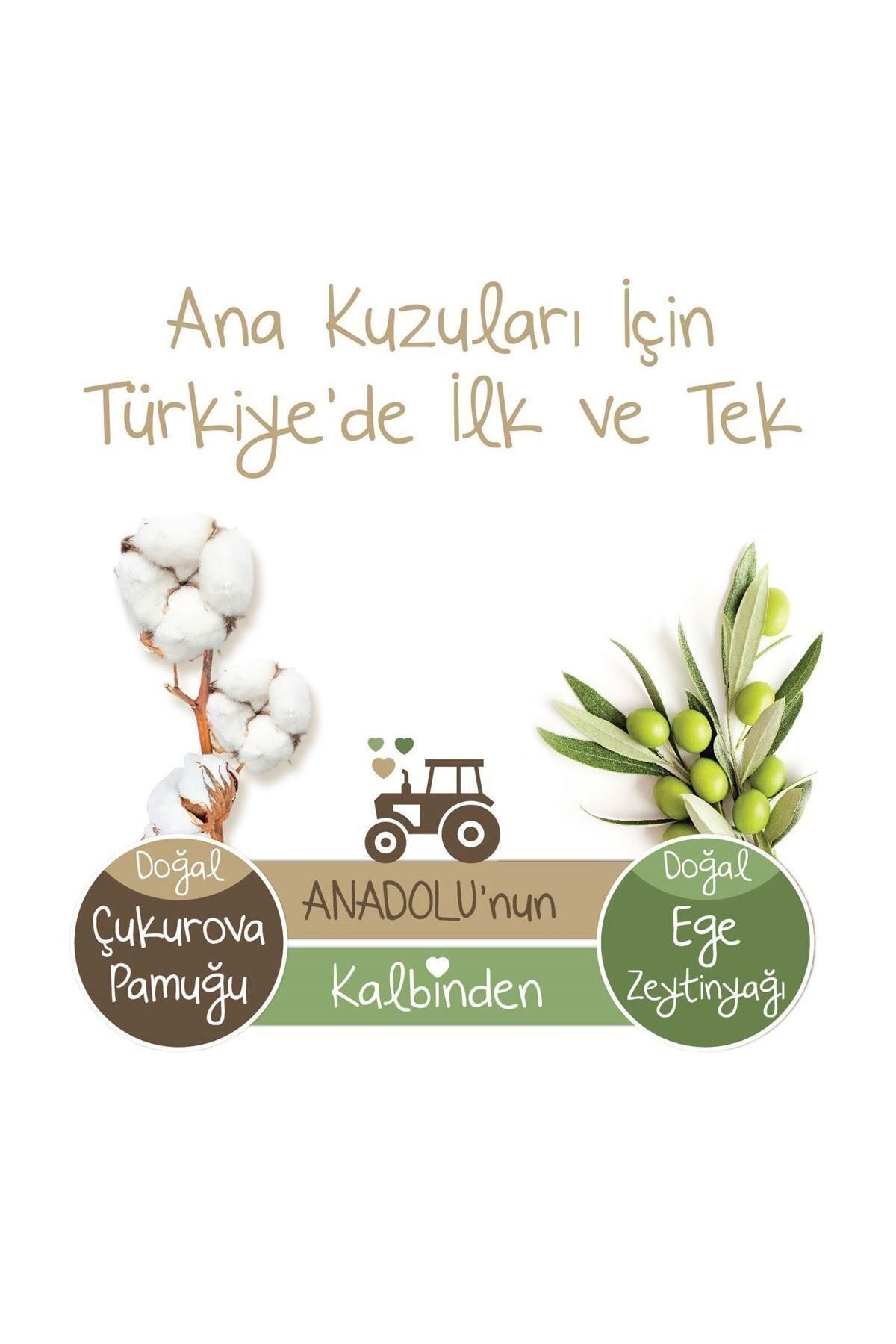 Baby Turco Doğadan Bebek Bezi Ekonomik Paket Junior 5 Numara 160 Adet - Görsel 3