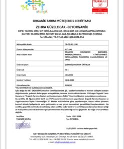 BEYORGANİK Organik Sebzeli Bahar Çorbası 80gr (10 Dk Hazır ) - Görsel 3