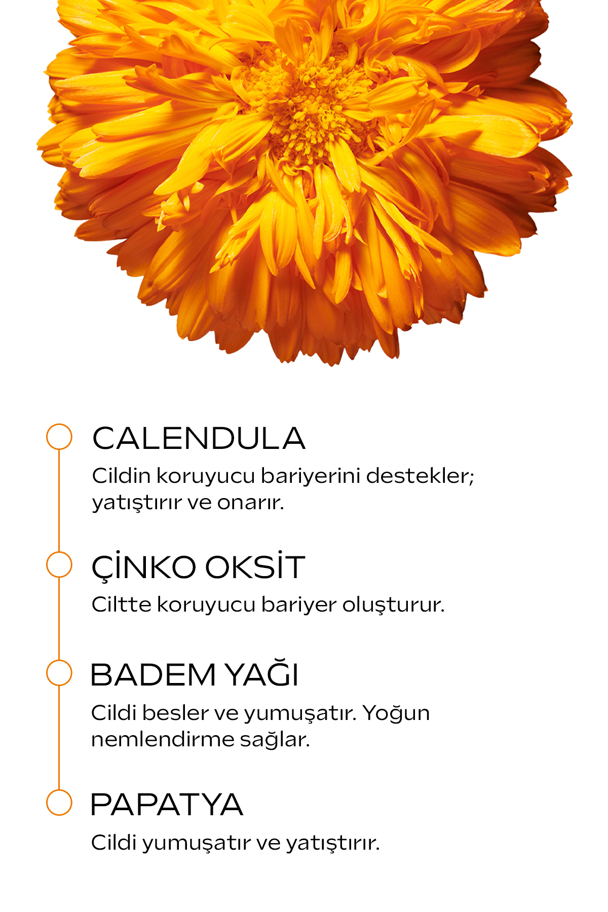 Weleda Calendula Organik Pişik Kremi 75 ml - Görsel 3