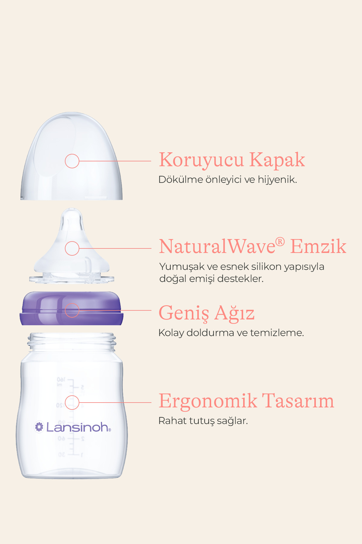 LANSINOH 330 ml Biberon ve NaturalWave® Biberon Emziği (6 Ay+) - Görsel 3