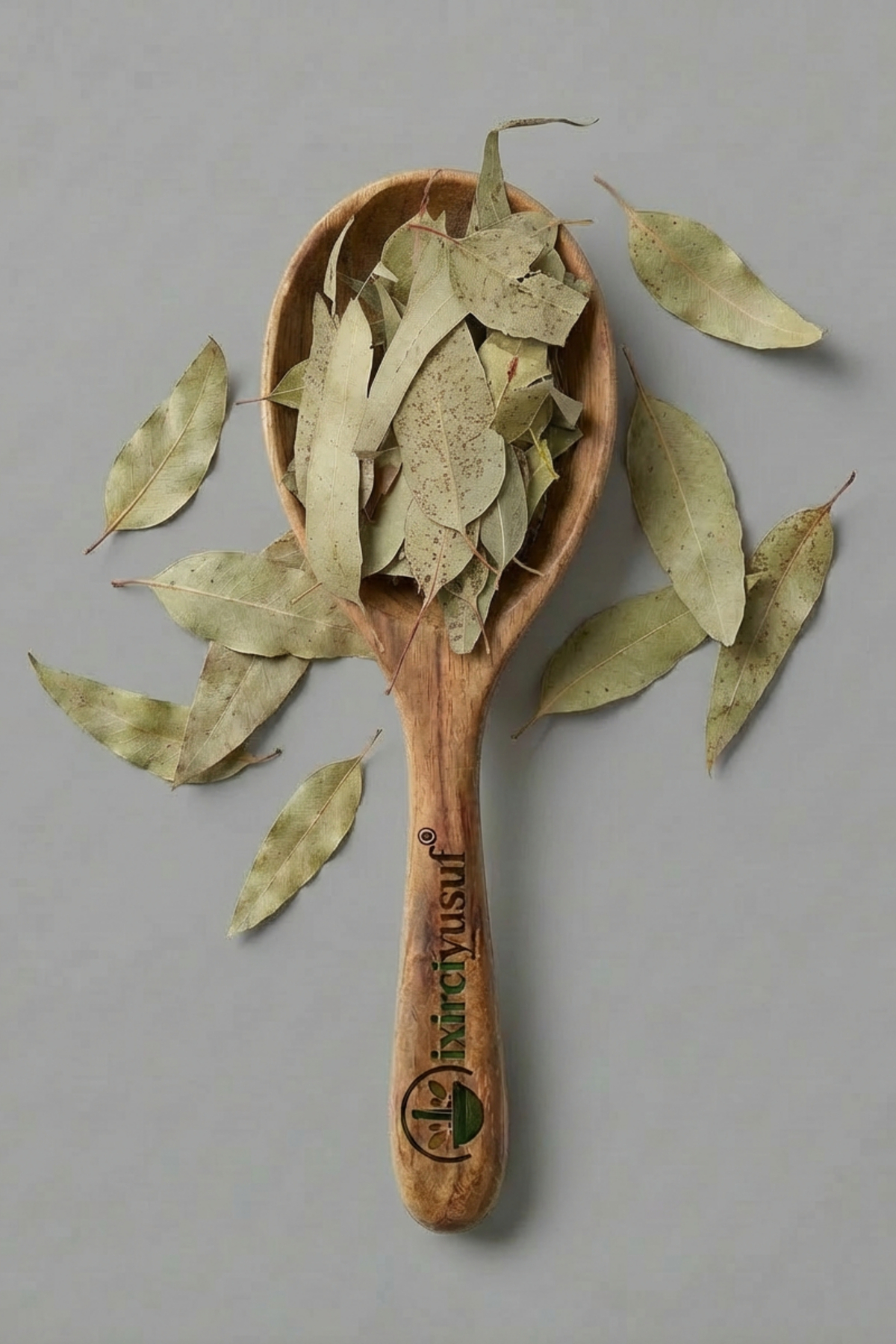 ixirciyusuf Okaliptus Yaprağı (Okaliptüs – Eucalyptus Leaf – Eucalyptus globulus) Kurutulmuş Bitki 100 g – Doğal - Görsel 3