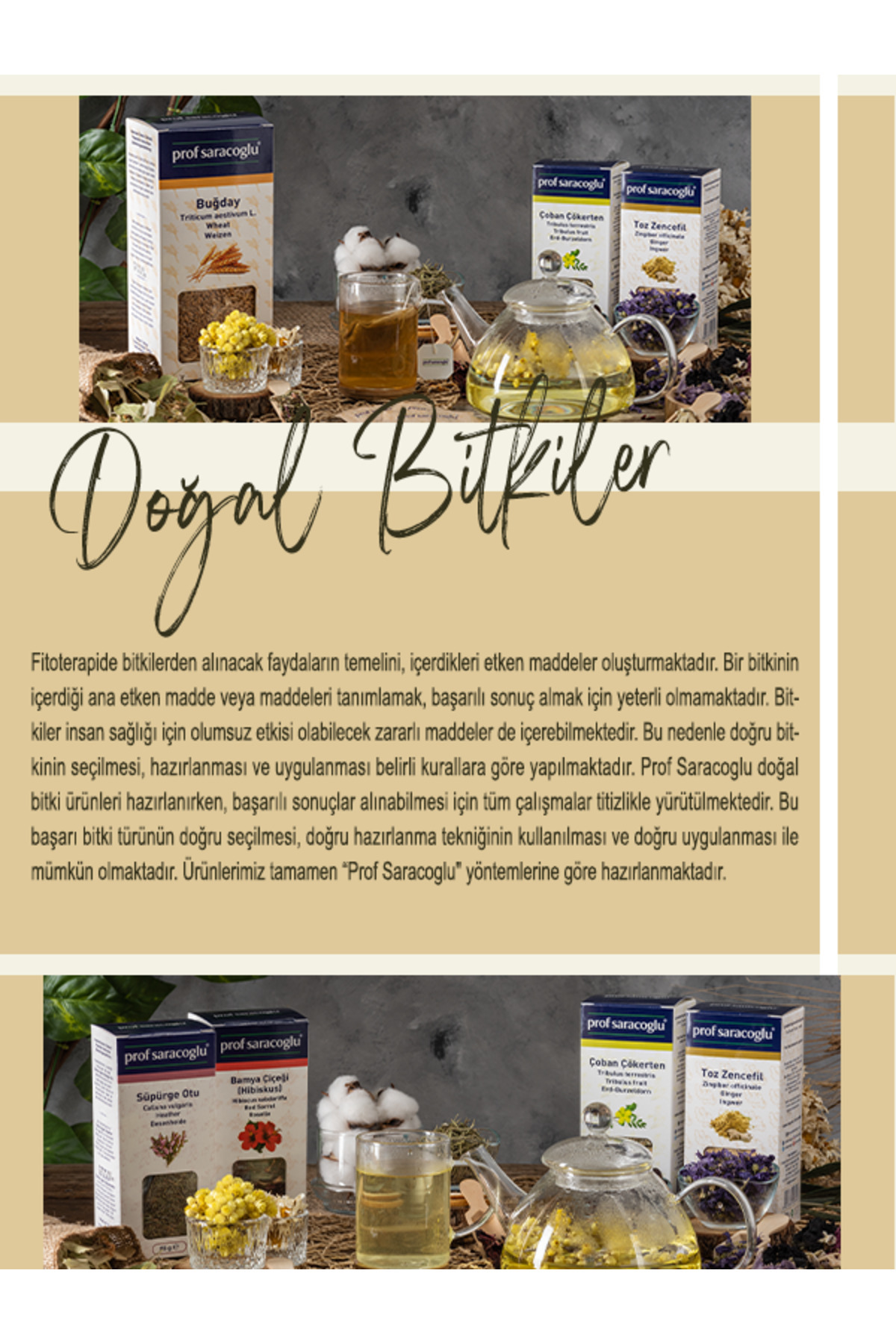 prof saracoglu Adaçayı Doğal Bitki 80 G - Görsel 3