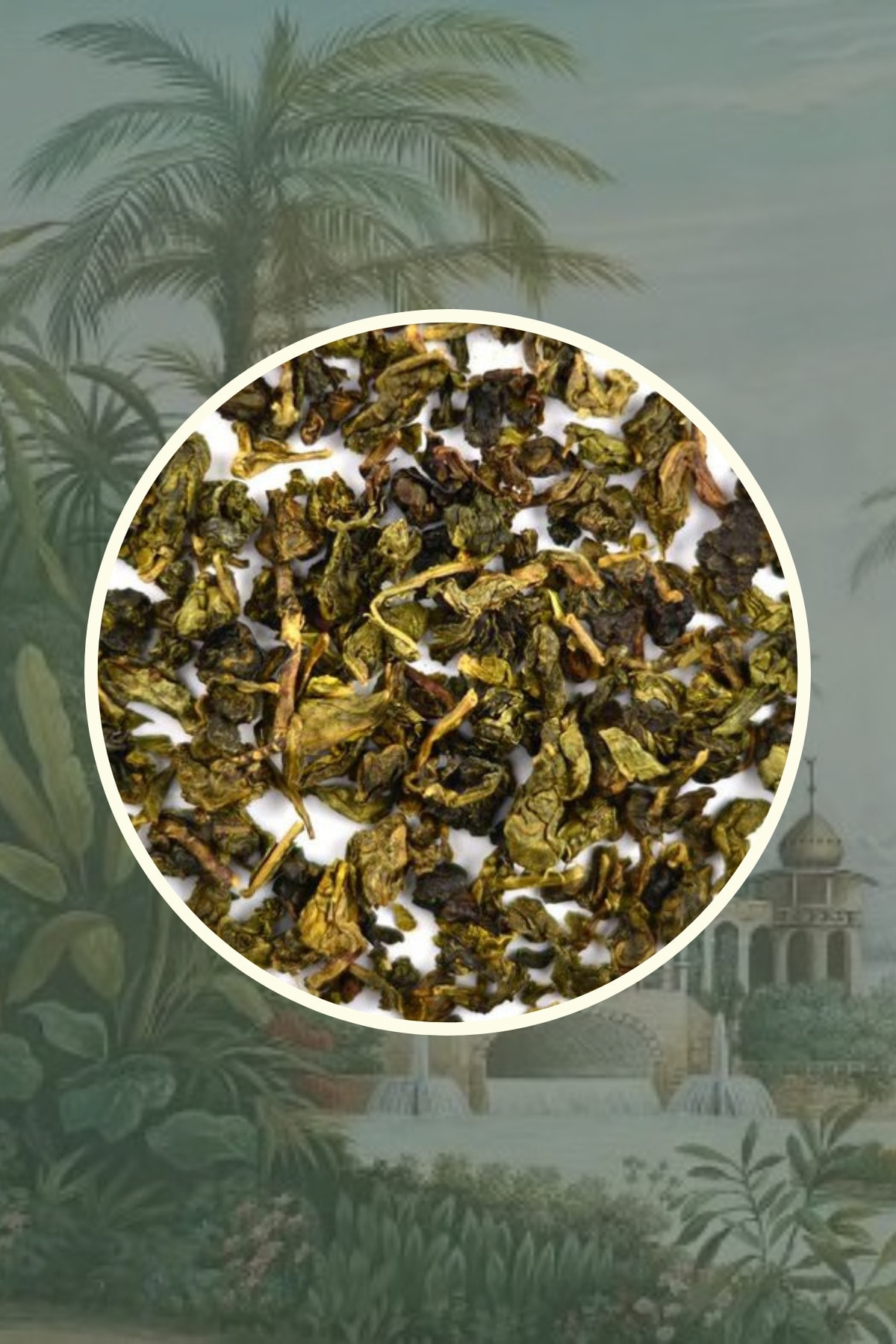Nice Match Milk Oolong Tea - Sütlü Oolong Çayı 50 gr - Görsel 3