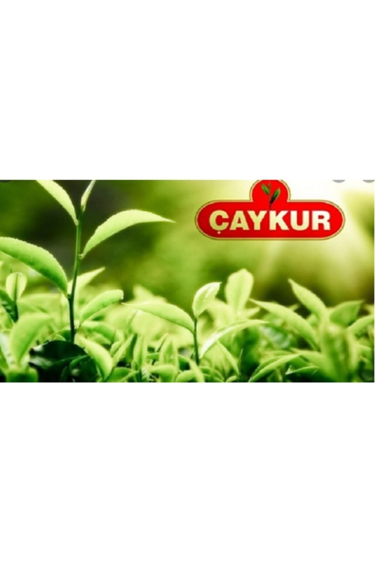 Çaykur Kamelya Siyah Dökme Çay 1 Kg 6 Adet - Görsel 3