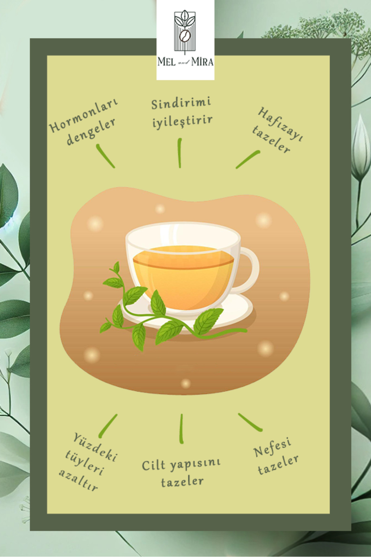 Mel and Mira Premium Kıvırcık Nane Çayı 50g | Spearmint Tea | Sindirim Dostu, Organik, Vegan, Katkısız - Görsel 3