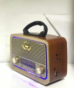 goldixpir 301 Eskitme Nostalji Tasarımlı Bluetoothlu Nostalji Radyo Fm-sd Kart-aux - Görsel 3