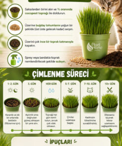 Alternative view of Plant Home Power Mix Kedi Çimi Yetiştirme Seti – Saksı, Cocopeat Toprak ve Buğday Tohumu | 0 Doğal 3’lü Kit